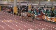 W 800 H02 (Seeded)