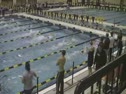 Women 100 Free- Consols