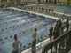Women 100 Free- Consols