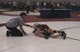 Romero OH vs. Miller OH