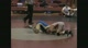 Scott Beach Rotational Phoebus