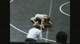 Scott vs Haddenfield NJ - Virginia Duels - 1-8-10