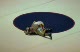 119 LBS HS F, Steven Salinas, Northview, CA vs David Klingsheim, Liberty, CA