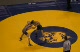130 LBS HS SF, Daniel Horcasitas, ML King, CA vs Herny Yorba, Poway, CA