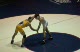 160 LBS HS F, Stephen West, Buchanan, CA vs Patrick Martinez, Temecula Valley, CA