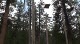 Challenge course