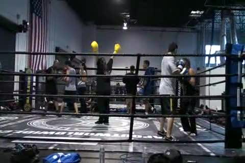 Boxing and wrestling 