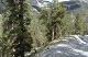 bristol cone trail