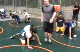 kids working claw