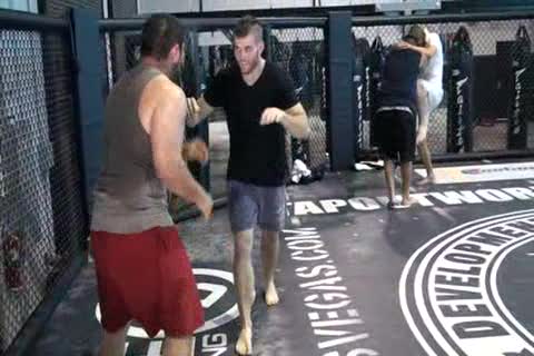 Muay thai in cage