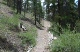 small close uphill run