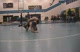 Wilson Beddingfield-Consolation Semifinals PART 3