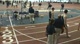 M 800 H01 (Invitational 1:47.48 Foster, PSU National)