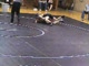 todd vs. baffalo