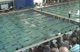 Boys 200 IM (Consols)