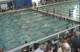 Boys 500 Freestyle (Finals)