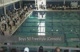 Boys 50 Freestyle (Consols)