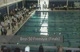 Boys 50 Freestyle (Finals)