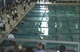 Girls 100 Backstroke (Finals)