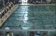 Girls 100 Butterfly (Consols)