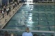 w hs 100 scy free finals hb d2