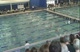 Girls 200 Freestyle (Finals)