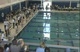 Girls 50 Freestyle (Finals)