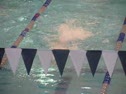 50 Freestyle