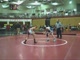 Wilson tourney mix