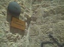 Crusifiction: Third time Jesus falls under the weight if the cross*jerusalem (station 9)