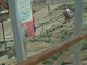 Dead Sea Survival Tips