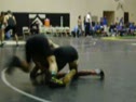 Panther Duals