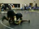 Panther Duals