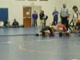 Hawk Finals