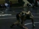 Wando Duals