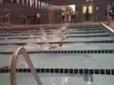 100 Butterfly @ Liberty Meet