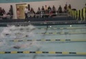 Medley_Relay_Freedom