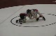 Josh Roberts (Roseville) dec Robbie Gorton (Rockford), 6-2
