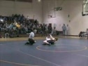 Ethan Schulert v (Roseville)