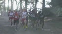 Men's 8k
