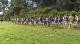Men's 8k