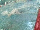 VID00029