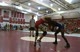 Jacob Wallace vs. off-season Austin Miller Jacob Wallace vs. off-season Austin Miller