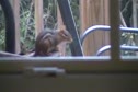 MOV088