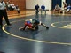 Dallas vs AHST