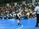Dallas Dietz vs St Alberts districts