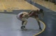 Scott Cunningham Ocean Lakes 3rd Continued