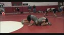 Elite Wrestling