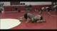 Elite Wrestling