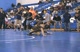 Kendrick Sanders (South Dade) vs Geordan Speiller (St Thomas)